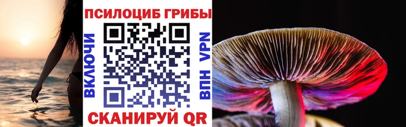 Купить  Никольск  Псилоцибиновые грибы MAGIC MUSHROOMS 
