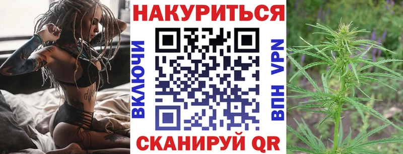 Купить  Никольск  Конопля план 